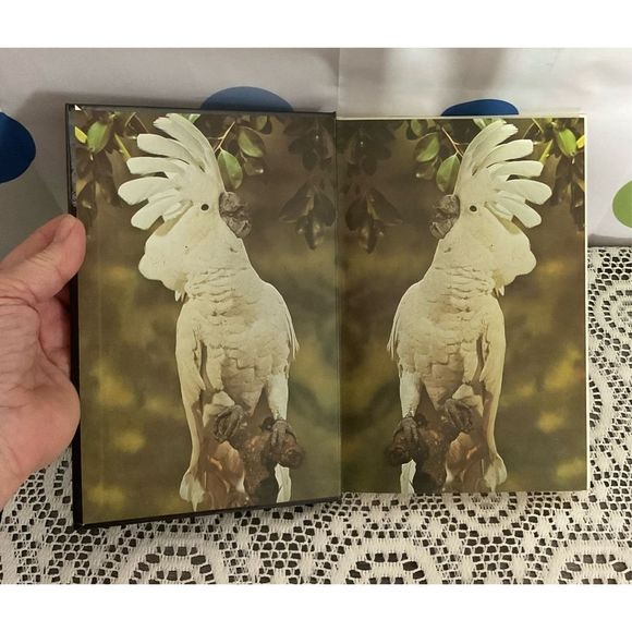 1981 Handbook of Cockatoos By Dr. A.E. Decoteau ❤️🍒 - Picture 3 of 13